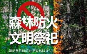 清明節：文明祭奠、預防火災