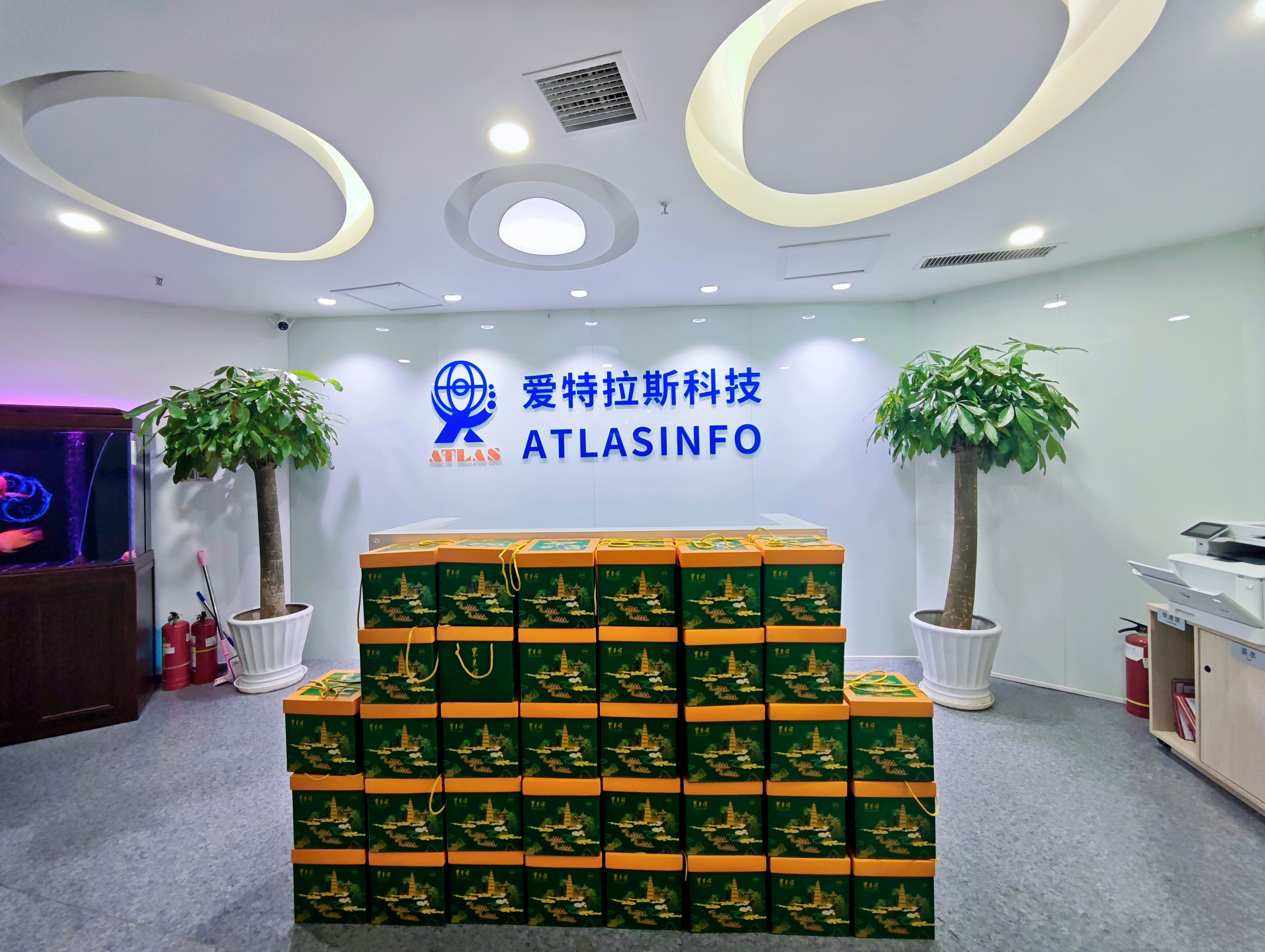 端午團圓時(shí)，思念是粽葉包裹的情